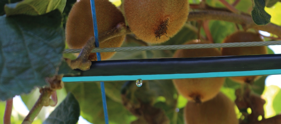 Toro's drip irrigation solutions help growers of vegetables, field crops, orchards and vineyards realize substantial benefits in yield
